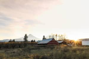 Case Study: Cost Segregation Analysis for a Farm in Talent, Oregon