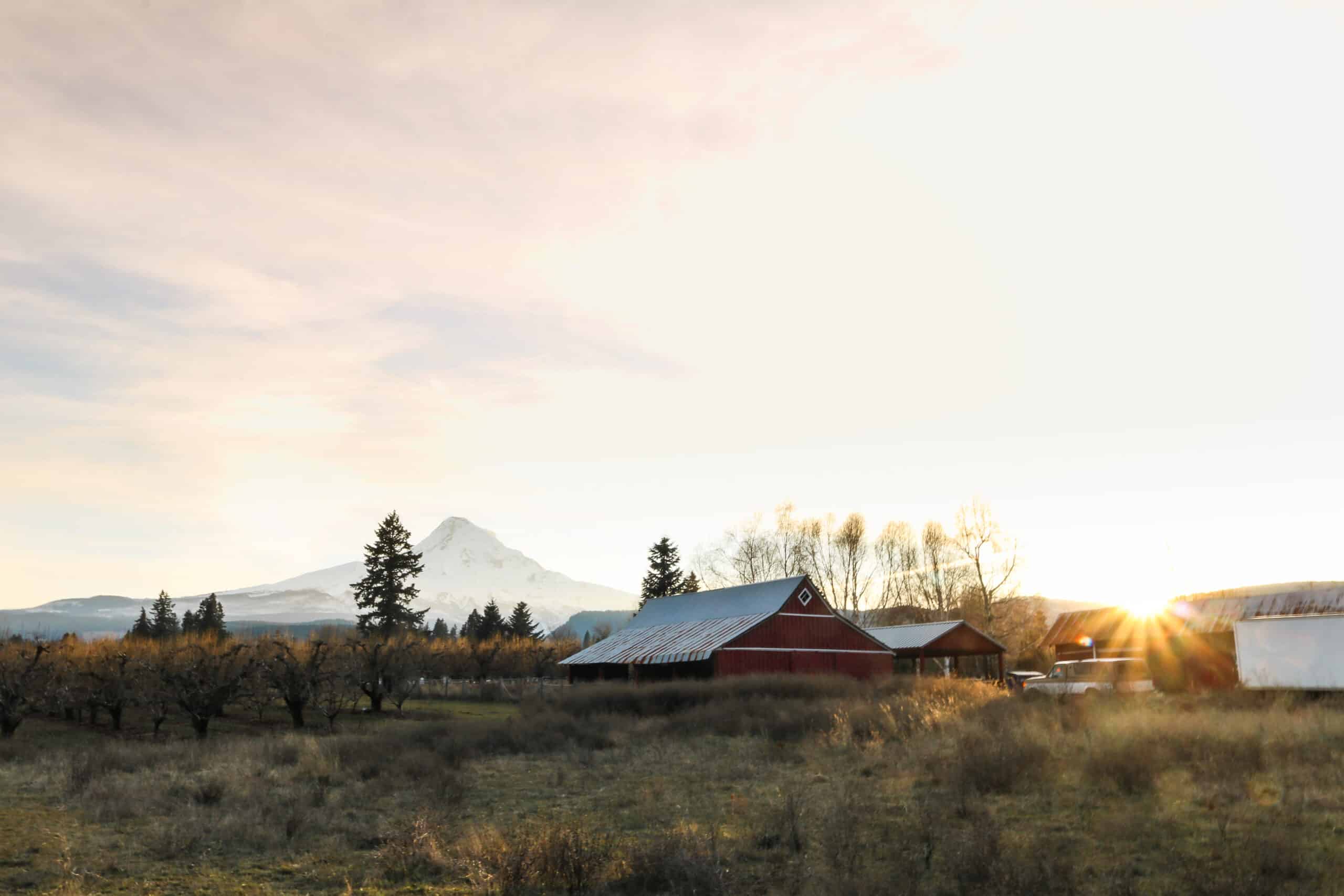 Cost Segregation Case Study for a Farm in Talent, OR