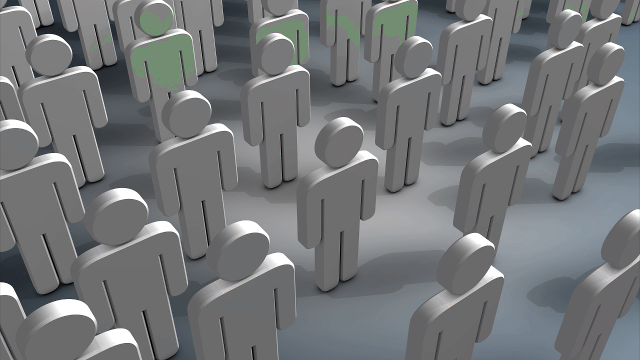 social media audience